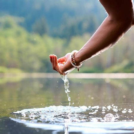 Ferienwohnung Resi Mit Traumhaftem Seepanorama Steindorf am Ossiacher See Zewnętrze zdjęcie