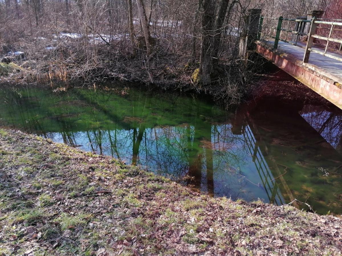 Ferienwohnung Resi Mit Traumhaftem Seepanorama Steindorf am Ossiacher See Zewnętrze zdjęcie
