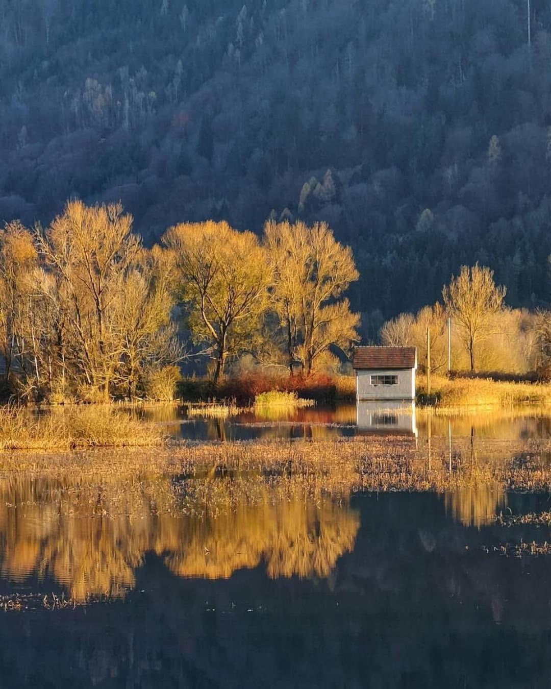 Ferienwohnung Resi Mit Traumhaftem Seepanorama Steindorf am Ossiacher See Zewnętrze zdjęcie