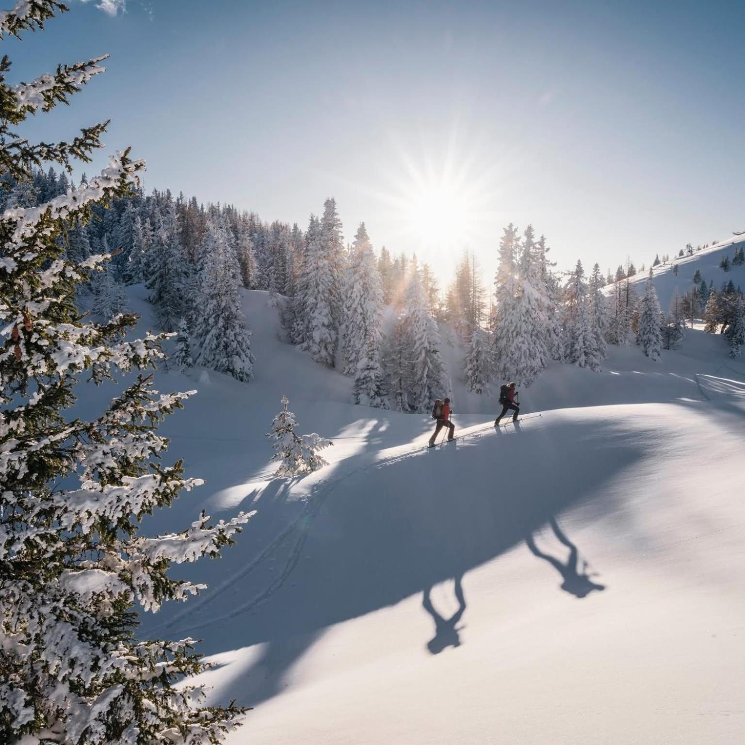 Ferienwohnung Resi Mit Traumhaftem Seepanorama Steindorf am Ossiacher See Zewnętrze zdjęcie