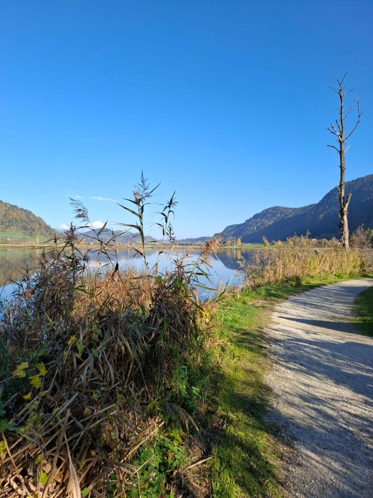 Ferienwohnung Resi Mit Traumhaftem Seepanorama Steindorf am Ossiacher See Zewnętrze zdjęcie