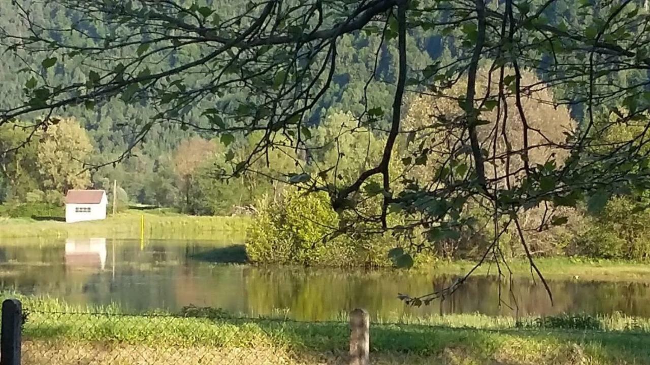 Ferienwohnung Resi Mit Traumhaftem Seepanorama Steindorf am Ossiacher See Zewnętrze zdjęcie