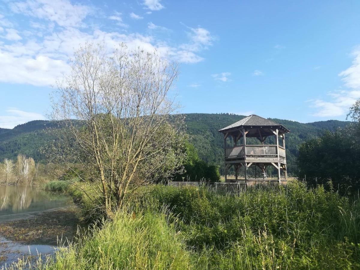 Ferienwohnung Resi Mit Traumhaftem Seepanorama Steindorf am Ossiacher See Zewnętrze zdjęcie