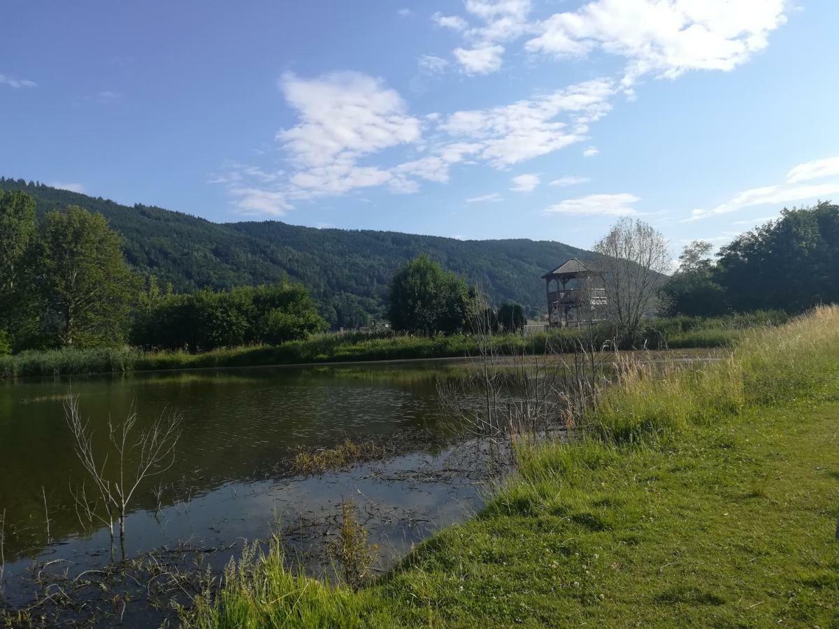 Ferienwohnung Resi Mit Traumhaftem Seepanorama Steindorf am Ossiacher See Zewnętrze zdjęcie
