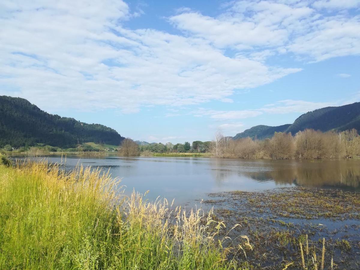 Ferienwohnung Resi Mit Traumhaftem Seepanorama Steindorf am Ossiacher See Zewnętrze zdjęcie