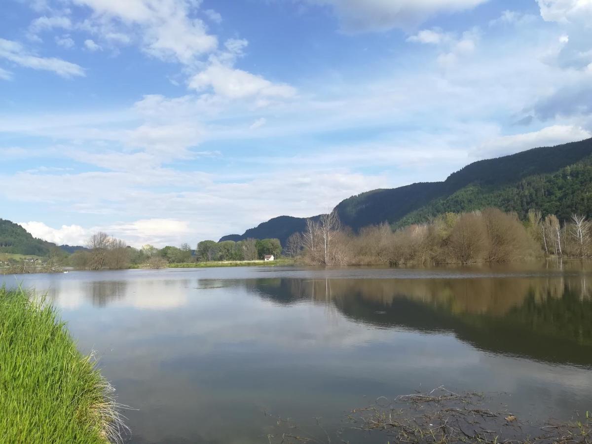 Ferienwohnung Resi Mit Traumhaftem Seepanorama Steindorf am Ossiacher See Zewnętrze zdjęcie