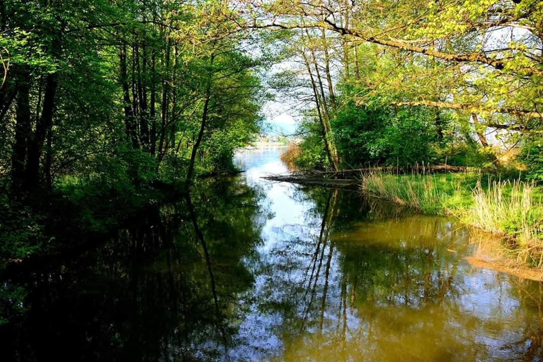 Ferienwohnung Resi Mit Traumhaftem Seepanorama Steindorf am Ossiacher See Zewnętrze zdjęcie